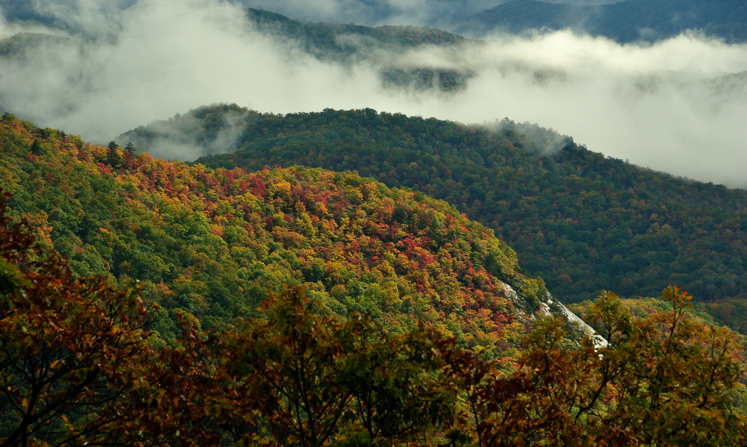 Blue Ridge Parkway [250 mm, 1/320 Sek. bei f / 10, ISO 500]